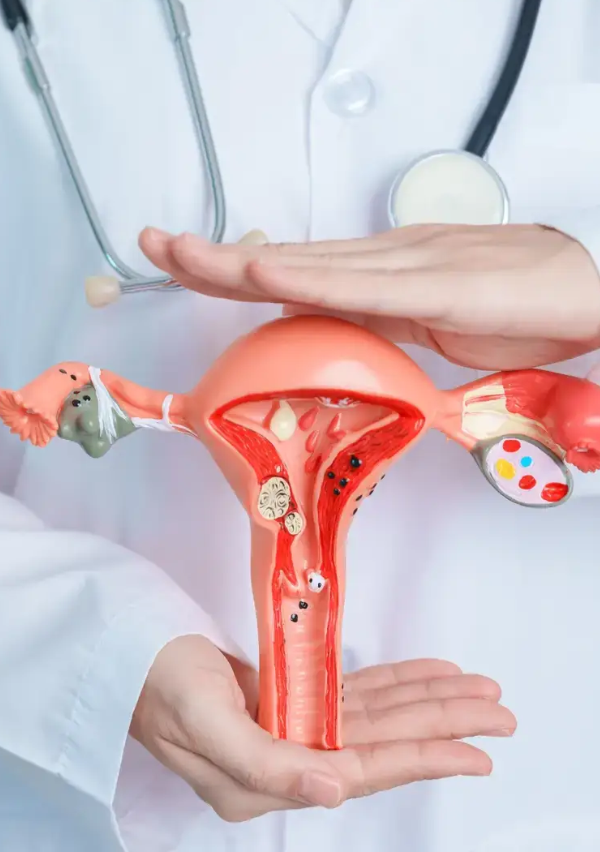 Bilgi Alın / Bize Ulaşın